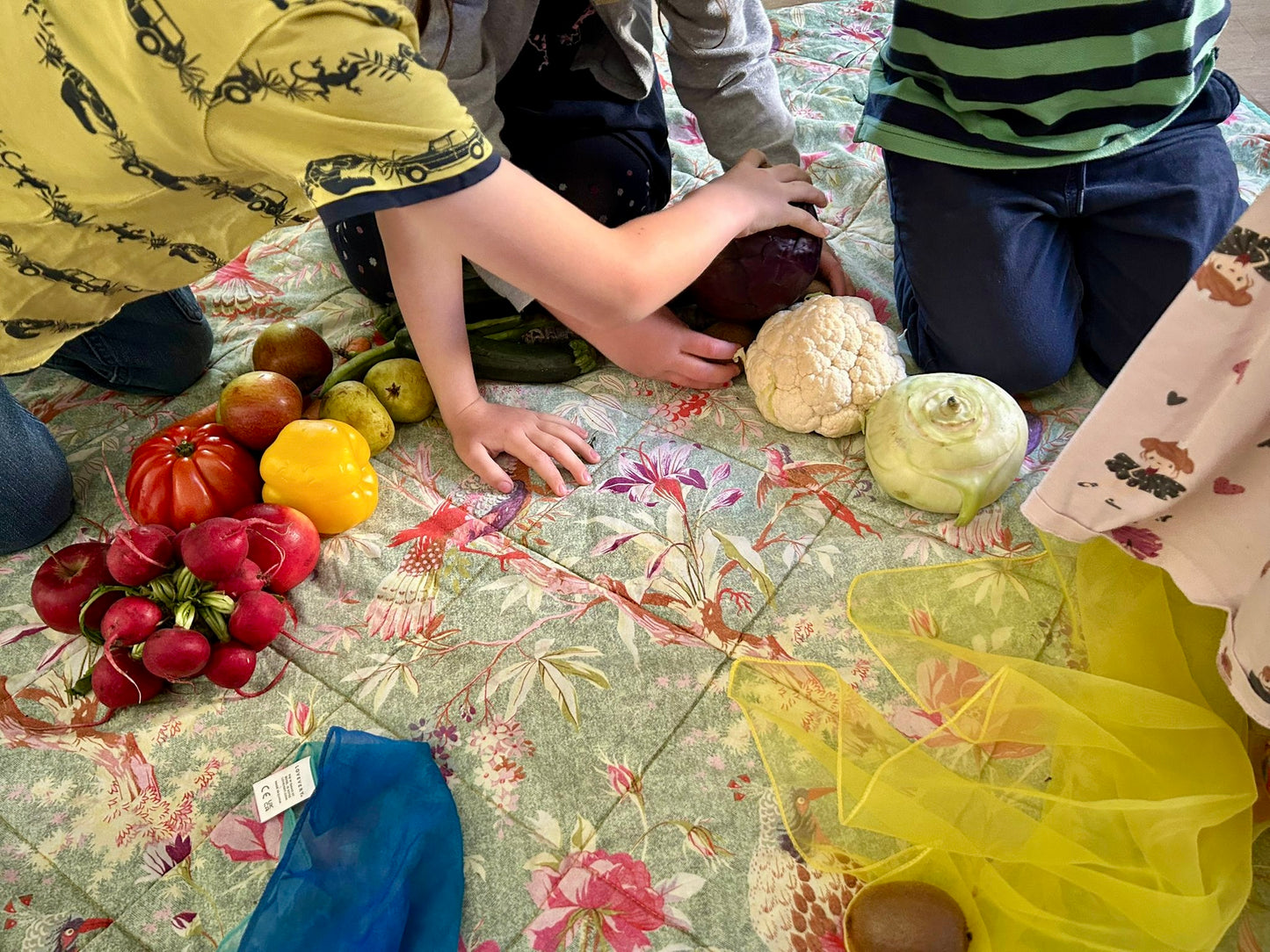 „Essen mit Sinnen“-Webinar